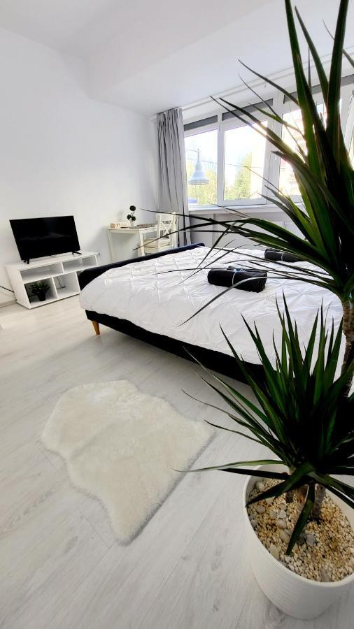 Apartmán Victoriei Central Studio Bukurešť Exteriér fotografie